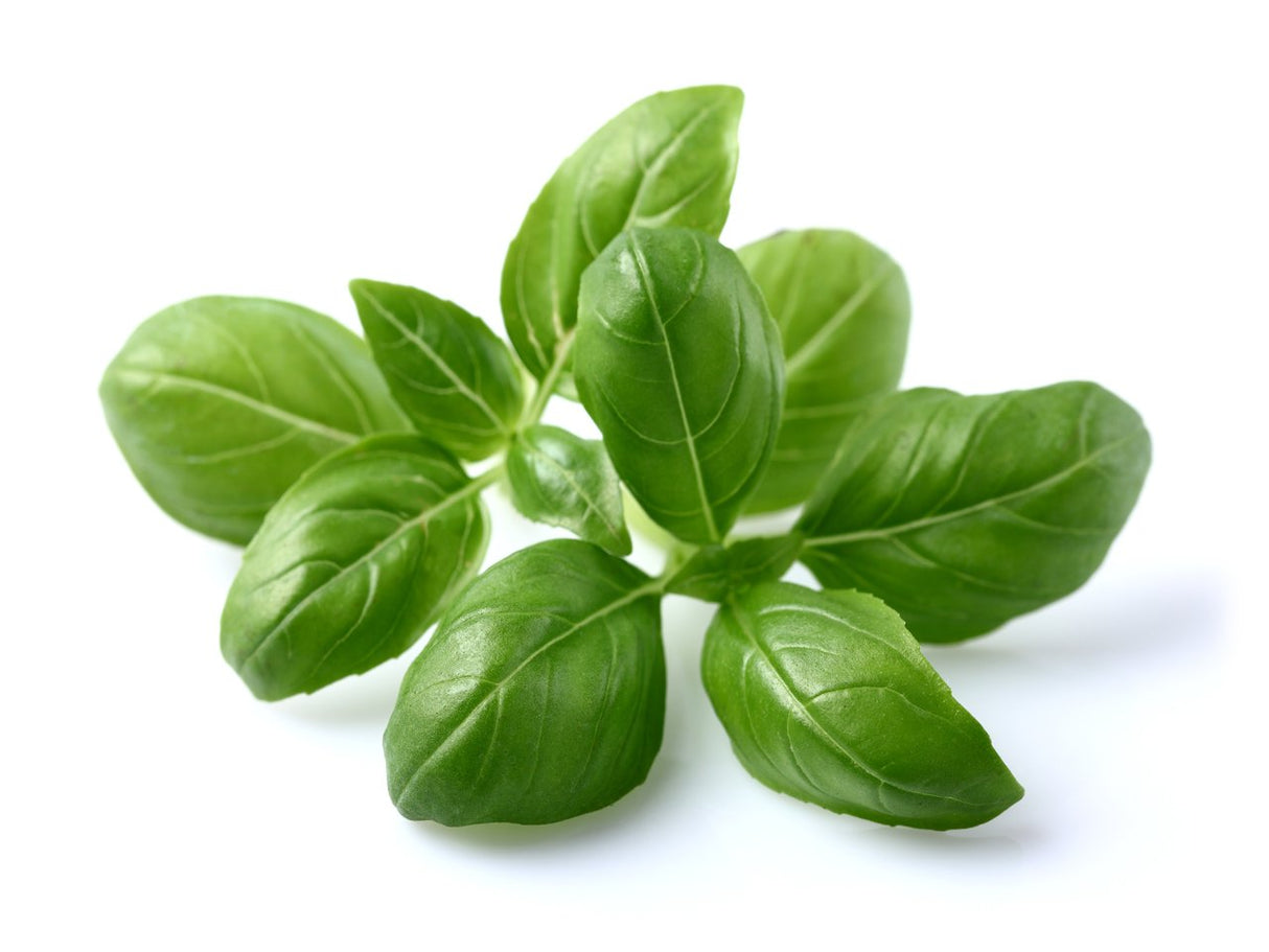 Basil - 0.5oz