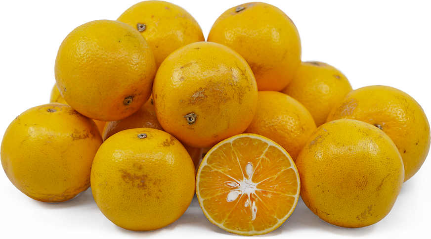 Naval Oranges