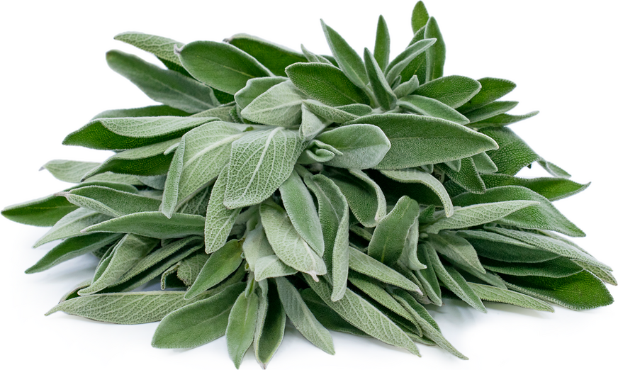 Sage - 0.5oz